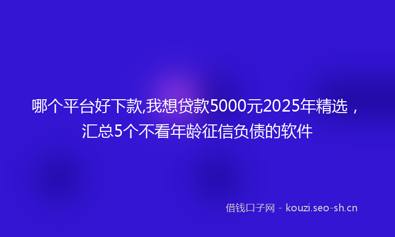 哪个平台好下款,我想贷款5000元2025年精选，汇总5个不看年龄征信负债的软件