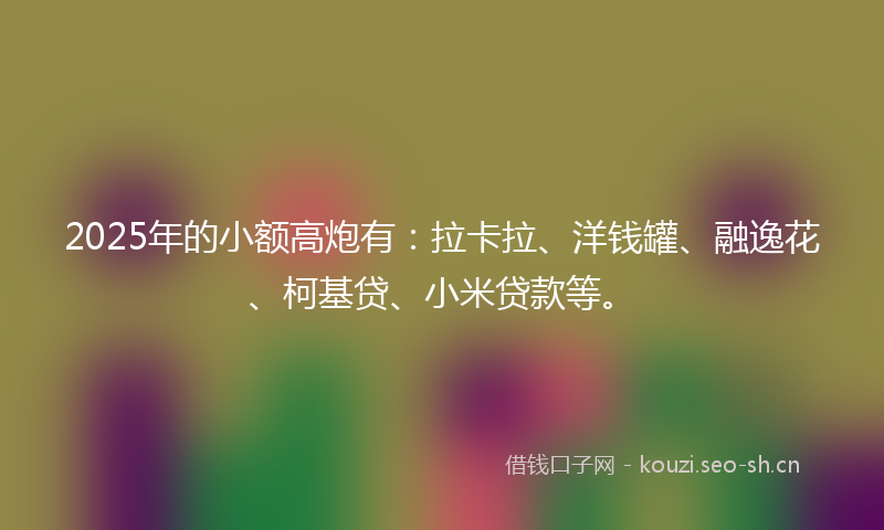 2025年的小额高炮有：拉卡拉、洋钱罐、融逸花、柯基贷、小米贷款等。