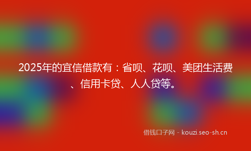 2025年的宜信借款有：省呗、花呗、美团生活费、信用卡贷、人人贷等。