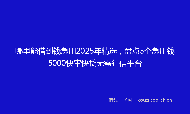 哪里能借到钱急用2025年精选，盘点5个急用钱5000快审快贷无需征信平台