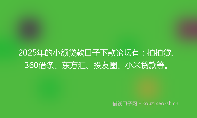 2025年的小额贷款口子下款论坛有：拍拍贷、360借条、东方汇、投友圈、小米贷款等。