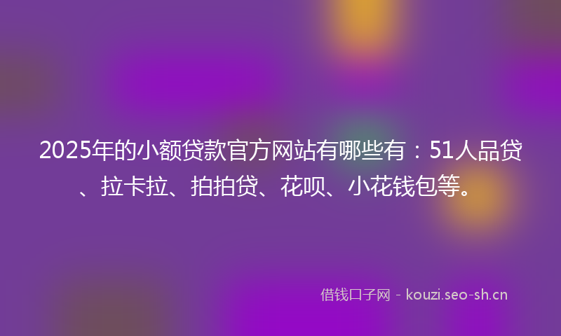 2025年的小额贷款官方网站有哪些有：51人品贷、拉卡拉、拍拍贷、花呗、小花钱包等。