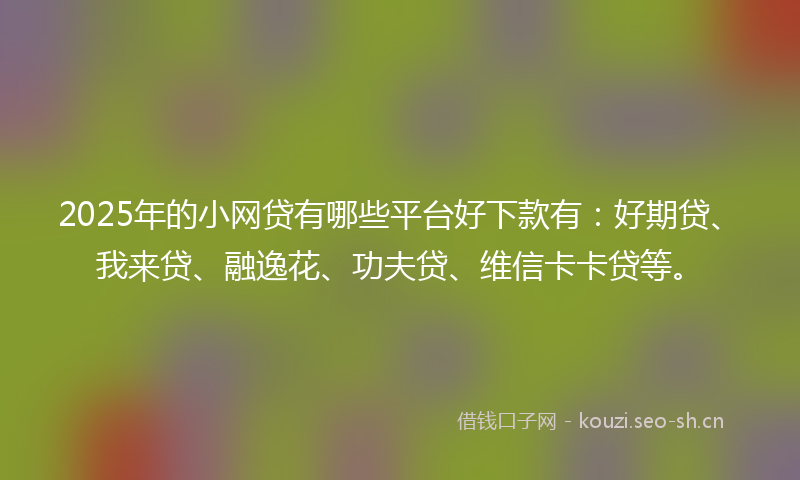 2025年的小网贷有哪些平台好下款有：好期贷、我来贷、融逸花、功夫贷、维信卡卡贷等。