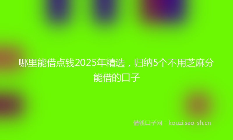 哪里能借点钱2025年精选，归纳5个不用芝麻分能借的口子