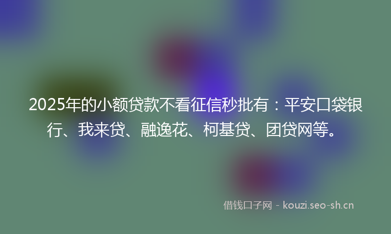 2025年的小额贷款不看征信秒批有：平安口袋银行、我来贷、融逸花、柯基贷、团贷网等。