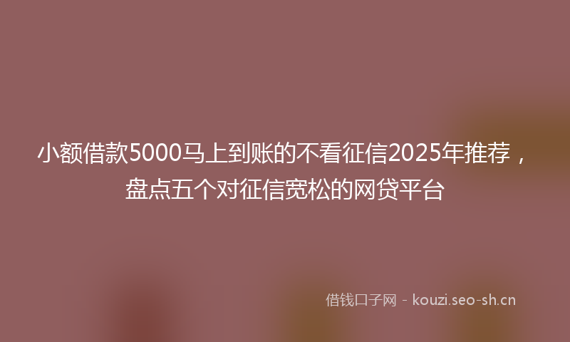 小额借款5000马上到账的不看征信2025年推荐，盘点五个对征信宽松的网贷平台