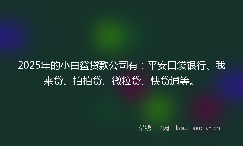 2025年的小白鲨贷款公司有：平安口袋银行、我来贷、拍拍贷、微粒贷、快贷通等。