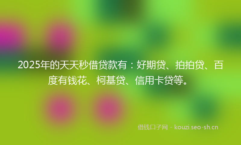 2025年的天天秒借贷款有：好期贷、拍拍贷、百度有钱花、柯基贷、信用卡贷等。