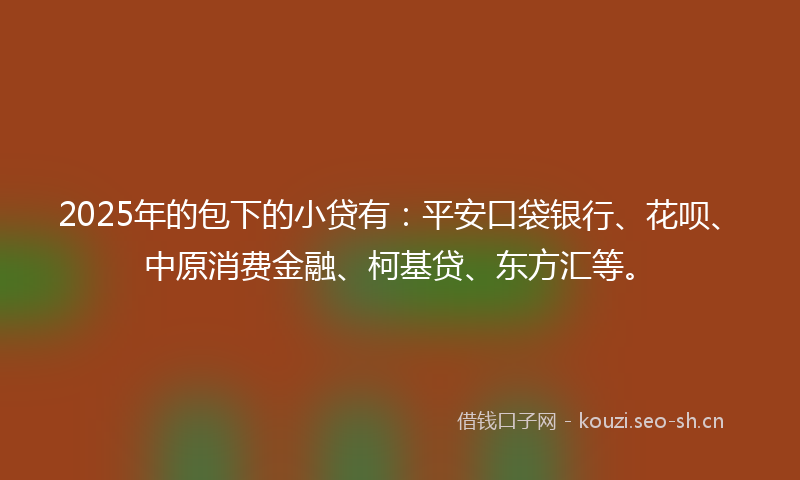2025年的包下的小贷有:平安口袋银行、花呗、中原消费金融、柯基贷、东方汇等。