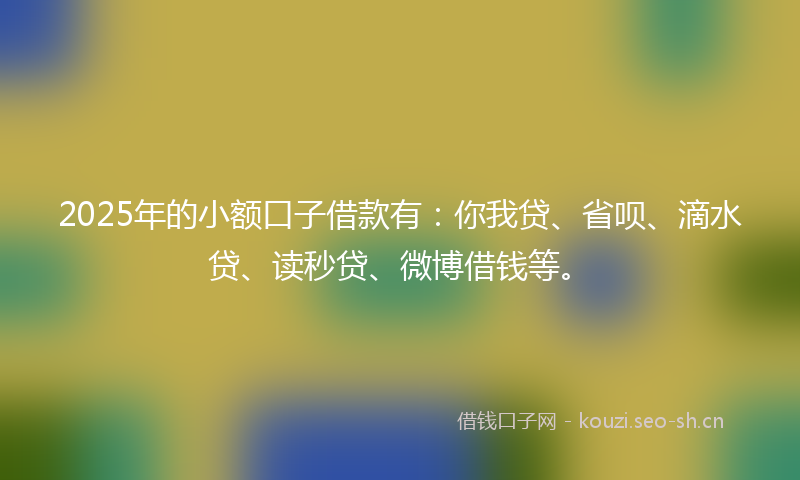 2025年的小额口子借款有：你我贷、省呗、滴水贷、读秒贷、微博借钱等。