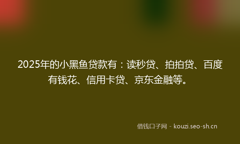 2025年的小黑鱼贷款有:读秒贷、拍拍贷、百度有钱花、信用卡贷、京东金融等。