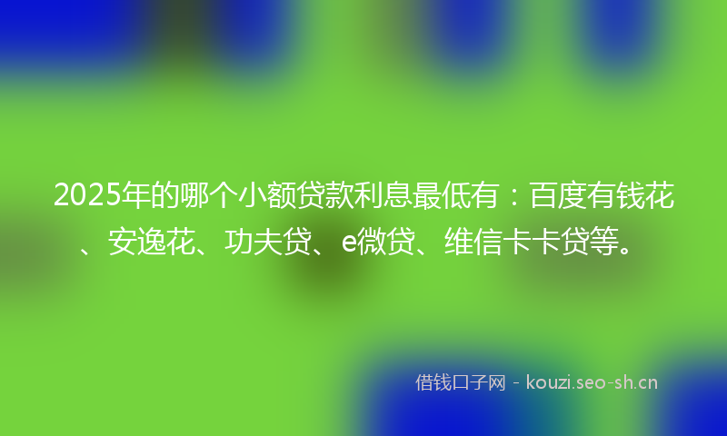 2025年的哪个小额贷款利息最低有：百度有钱花、安逸花、功夫贷、e微贷、维信卡卡贷等。