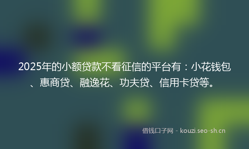 2025年的小额贷款不看征信的平台有：小花钱包、惠商贷、融逸花、功夫贷、信用卡贷等。