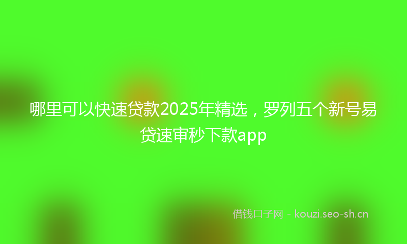 哪里可以快速贷款2025年精选，罗列五个新号易贷速审秒下款app