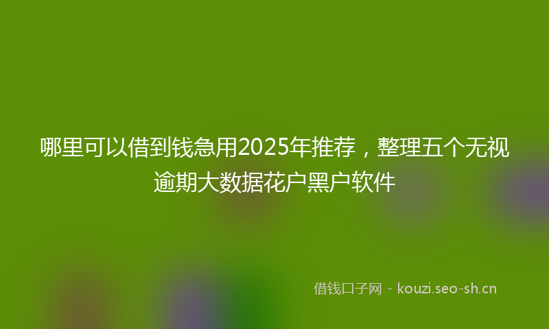 哪里可以借到钱急用2025年推荐，整理五个无视逾期大数据花户黑户软件