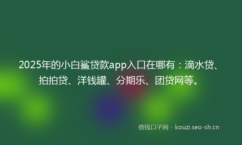 2025年的小白鲨贷款app入口在哪有:滴水贷、拍拍贷、洋钱罐、分期乐、团贷网等。