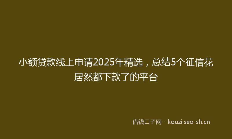 小额贷款线上申请2025年精选，总结5个征信花居然都下款了的平台
