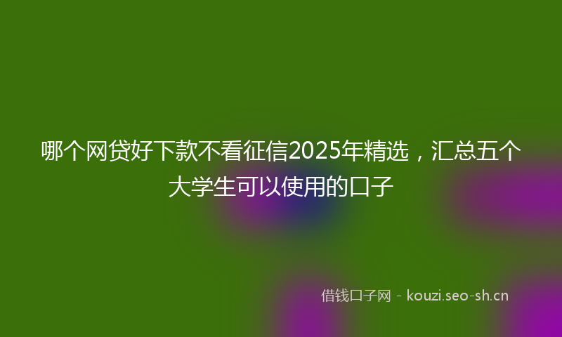 哪个网贷好下款不看征信2025年精选，汇总五个大学生可以使用的口子