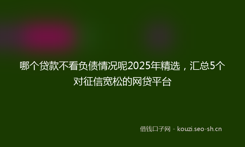 哪个贷款不看负债情况呢2025年精选,汇总5个对征信宽松的网贷平台