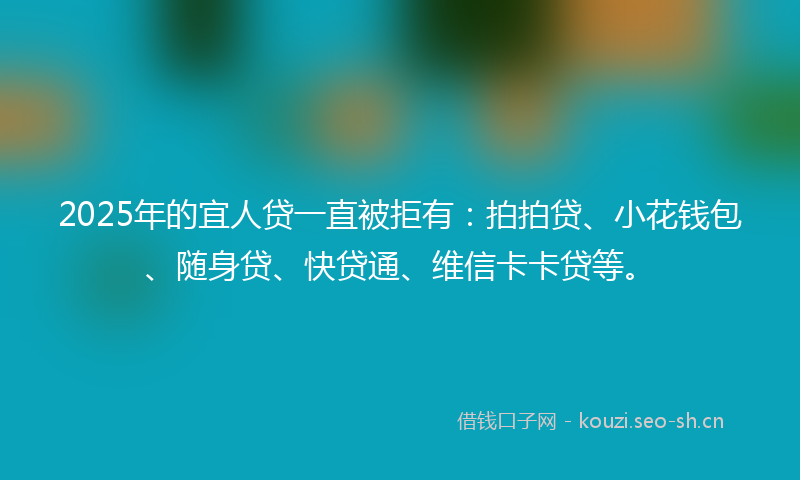 2025年的宜人贷一直被拒有：拍拍贷、小花钱包、随身贷、快贷通、维信卡卡贷等。