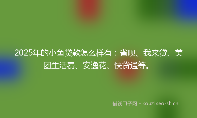 2025年的小鱼贷款怎么样有：省呗、我来贷、美团生活费、安逸花、快贷通等。