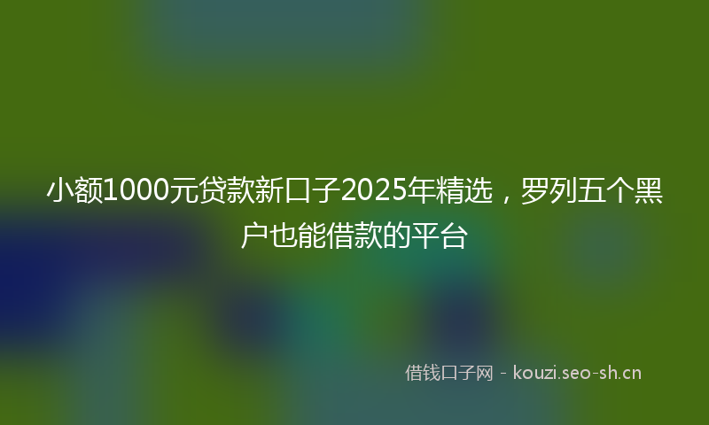 小额1000元贷款新口子2025年精选，罗列五个黑户也能借款的平台