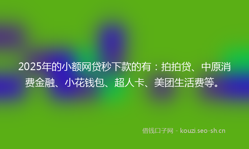 2025年的小额网贷秒下款的有：拍拍贷、中原消费金融、小花钱包、超人卡、美团生活费等。