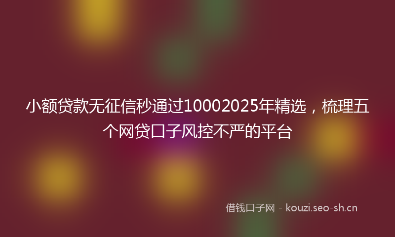 小额贷款无征信秒通过10002025年精选，梳理五个网贷口子风控不严的平台