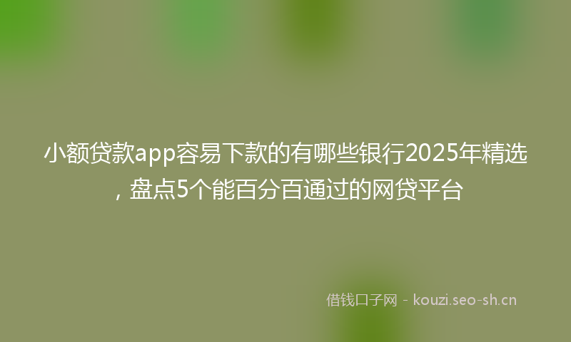 小额贷款app容易下款的有哪些银行2025年精选，盘点5个能百分百通过的网贷平台