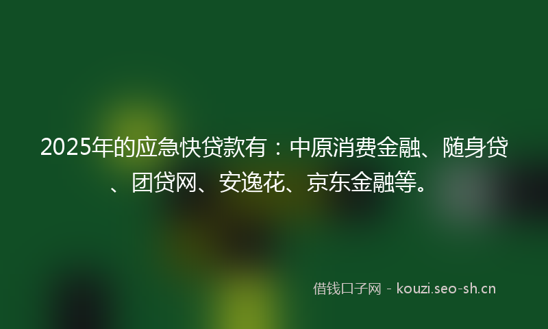 2025年的应急快贷款有：中原消费金融、随身贷、团贷网、安逸花、京东金融等。