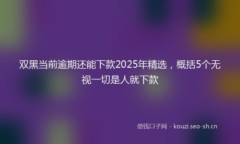 双黑当前逾期还能下款2025年精选，概括5个无视一切是人就下款