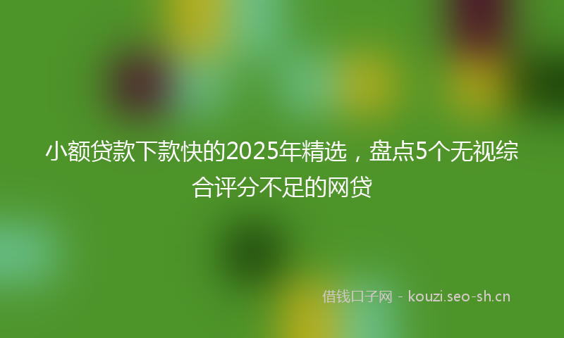 小额贷款下款快的2025年精选，盘点5个无视综合评分不足的网贷