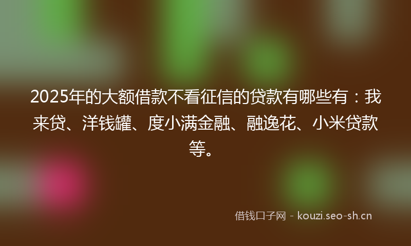 2025年的大额借款不看征信的贷款有哪些有：我来贷、洋钱罐、度小满金融、融逸花、小米贷款等。