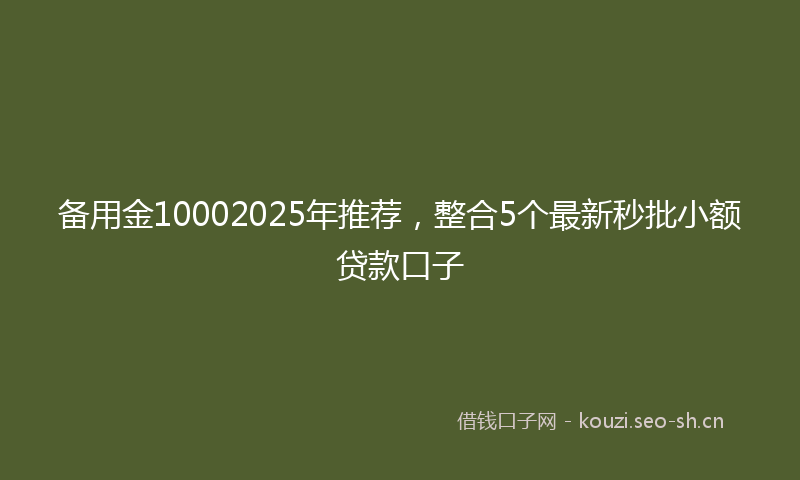 备用金10002025年推荐，整合5个最新秒批小额贷款口子