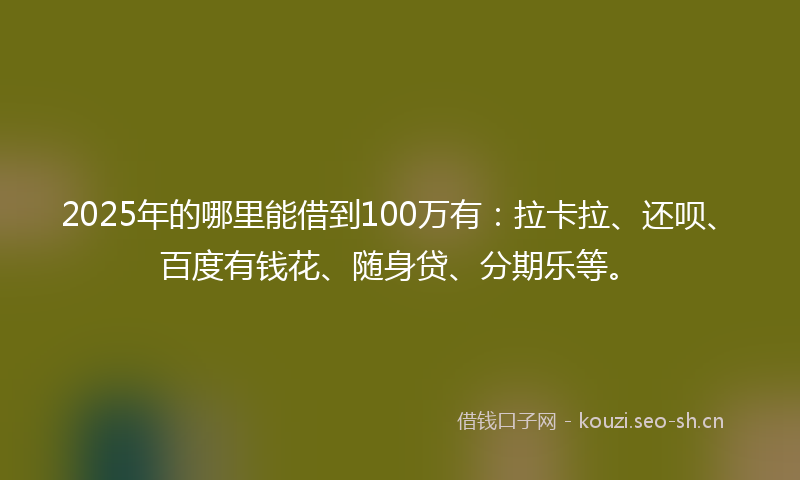2025年的哪里能借到100万有：拉卡拉、还呗、百度有钱花、随身贷、分期乐等。