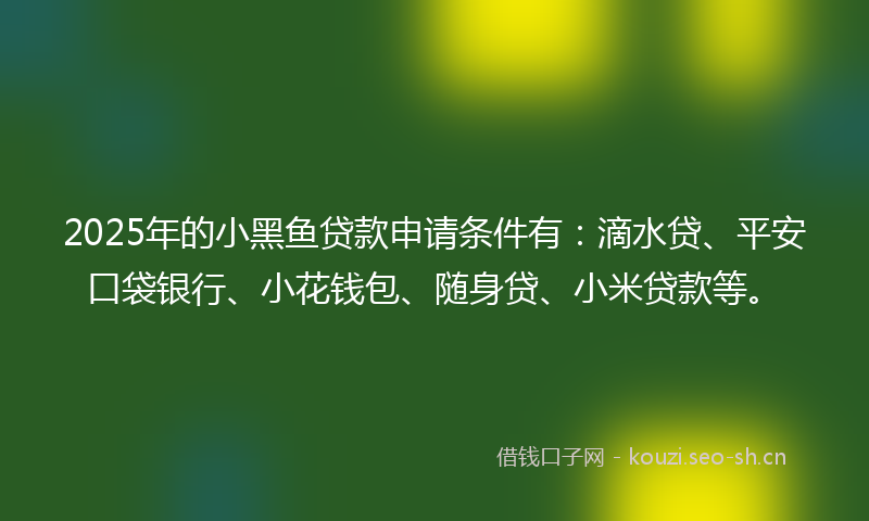 2025年的小黑鱼贷款申请条件有：滴水贷、平安口袋银行、小花钱包、随身贷、小米贷款等。