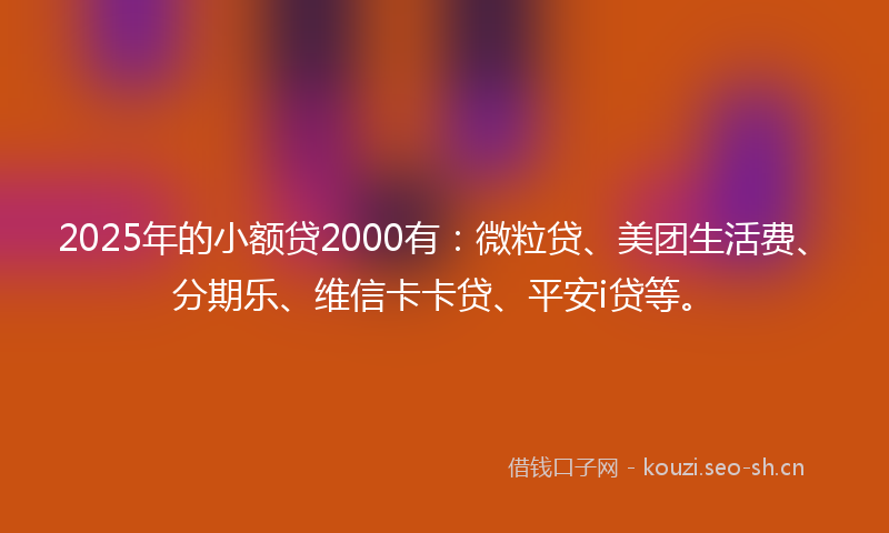 2025年的小额贷2000有：微粒贷、美团生活费、分期乐、维信卡卡贷、平安i贷等。