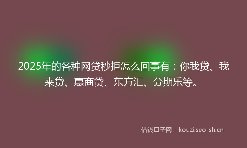 2025年的各种网贷秒拒怎么回事有：你我贷、我来贷、惠商贷、东方汇、分期乐等。