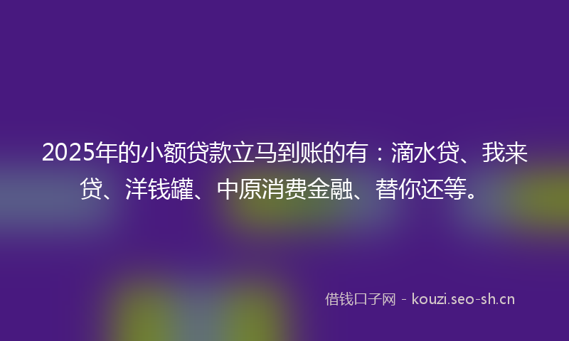 2025年的小额贷款立马到账的有：滴水贷、我来贷、洋钱罐、中原消费金融、替你还等。