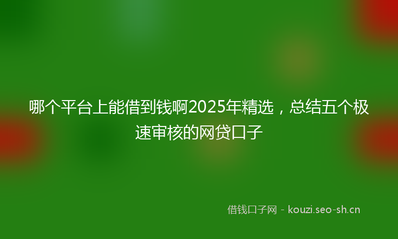 哪个平台上能借到钱啊2025年精选，总结五个极速审核的网贷口子