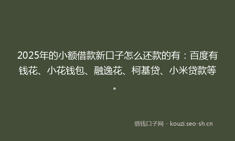 2025年的小额借款新口子怎么还款的有：百度有钱花、小花钱包、融逸花、柯基贷、小米贷款等。