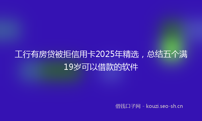 工行有房贷被拒信用卡2025年精选，总结五个满19岁可以借款的软件