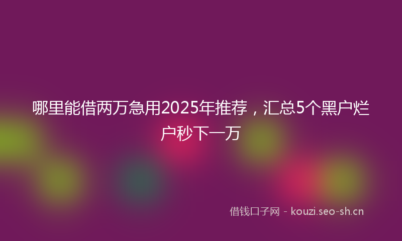 哪里能借两万急用2025年推荐，汇总5个黑户烂户秒下一万