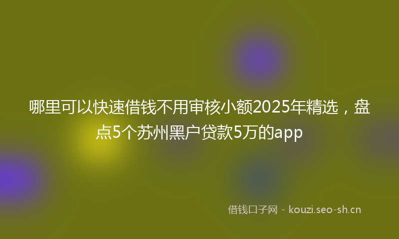 哪里可以快速借钱不用审核小额2025年精选，盘点5个苏州黑户贷款5万的app