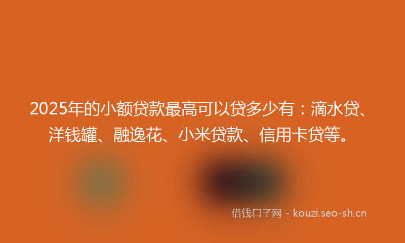 2025年的小额贷款最高可以贷多少有：滴水贷、洋钱罐、融逸花、小米贷款、信用卡贷等。