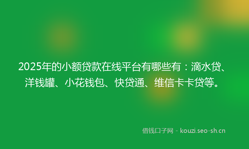 2025年的小额贷款在线平台有哪些有：滴水贷、洋钱罐、小花钱包、快贷通、维信卡卡贷等。