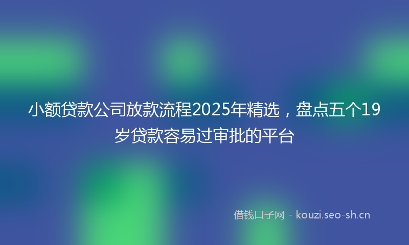小额贷款公司放款流程2025年精选，盘点五个19岁贷款容易过审批的平台