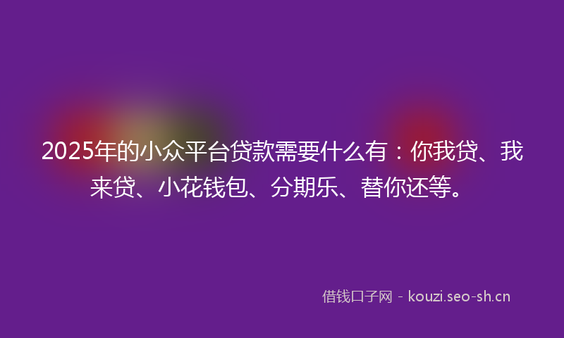 2025年的小众平台贷款需要什么有：你我贷、我来贷、小花钱包、分期乐、替你还等。