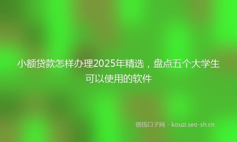 小额贷款怎样办理2025年精选，盘点五个大学生可以使用的软件