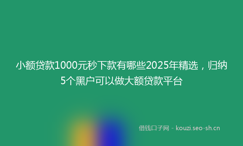 小额贷款1000元秒下款有哪些2025年精选，归纳5个黑户可以做大额贷款平台